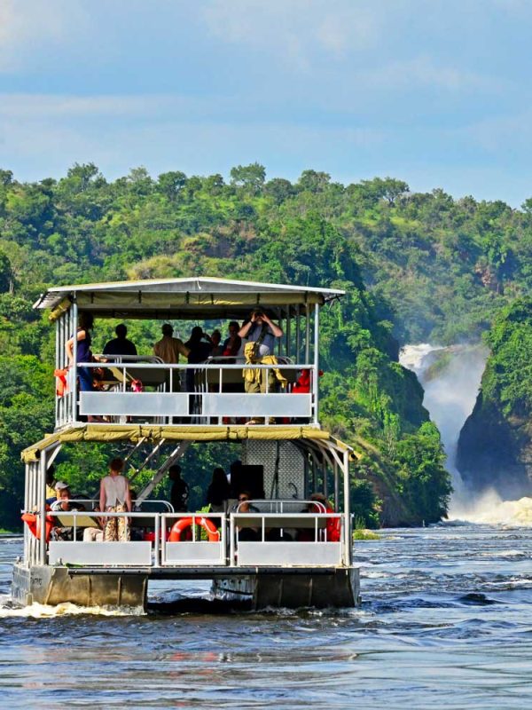 3-days-murchison-falls-safari-tour 3-days-murchison-falls-safari-tour
