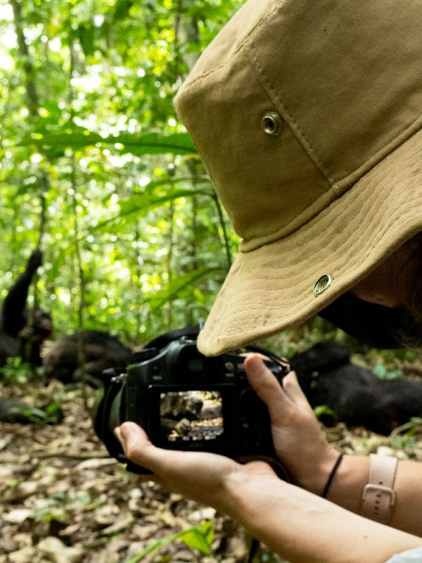 5-days-uganda-gorilla-and-chimpanzee-safari 5-days-uganda-gorilla-and-chimpanzee-safari